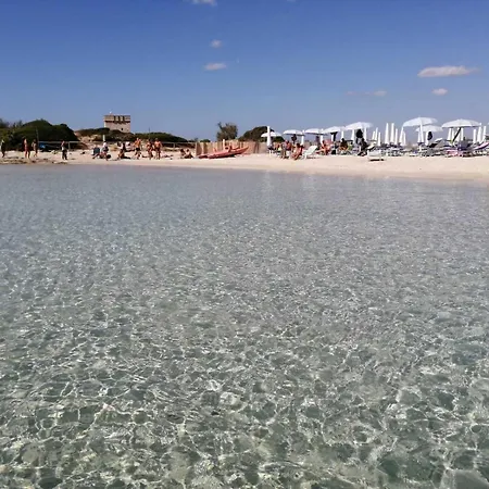 Belvedere Con Terrazza Lägenhet Porto Cesareo